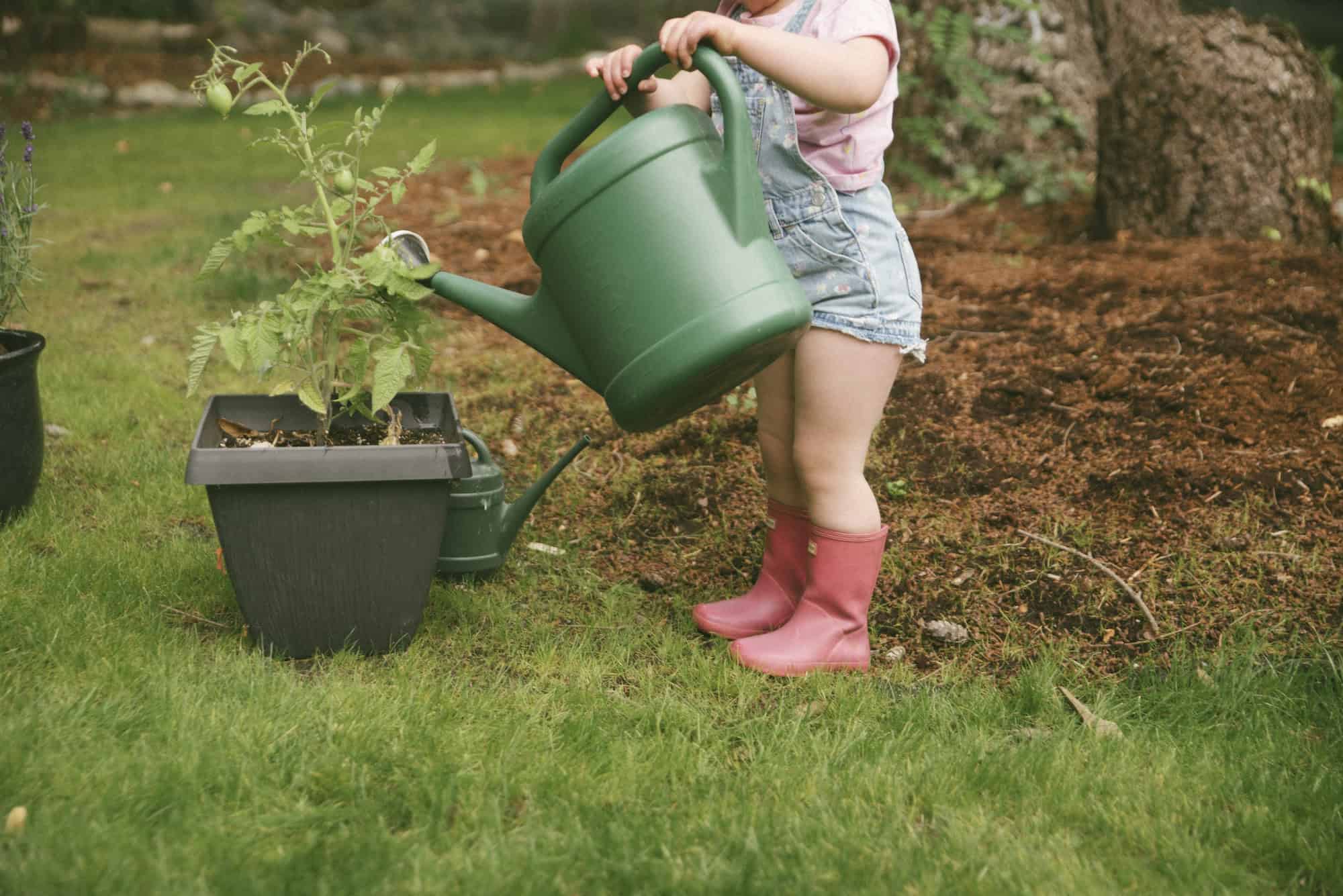 Child watering a plant wearing overalls and pink boots