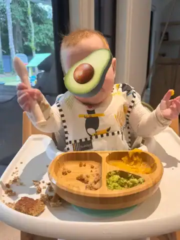 6 month baby in high chair doing baby led weaning with avocado covering face.