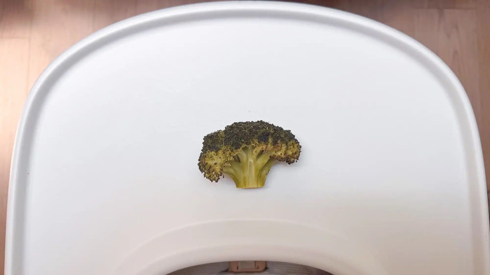 Steamed broccoli floret on a baby tray table.