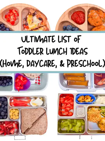 Overview image of toddler lunch ideas with text overlay.